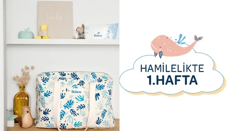 1. Hafta Hamilelik: Hamileliğinizin İlk Haftası Hakkında Bilinmesi Gerekenler