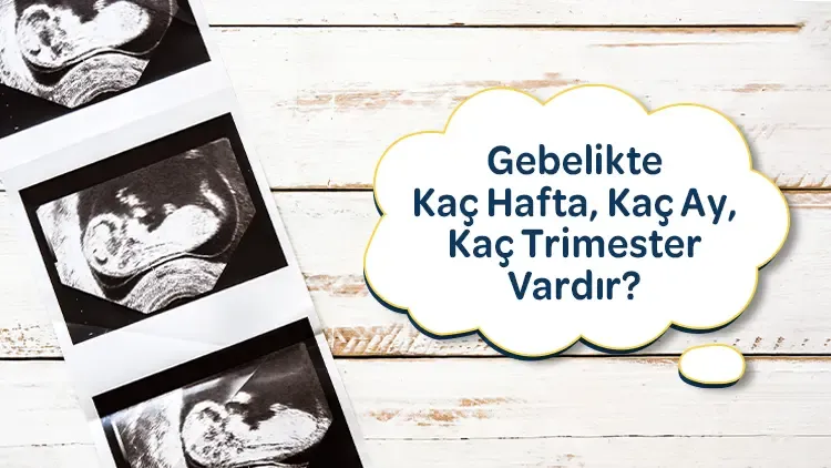 Gebelikte Kaç Hafta, Kaç Ay ve Kaç Trimester Vardır?