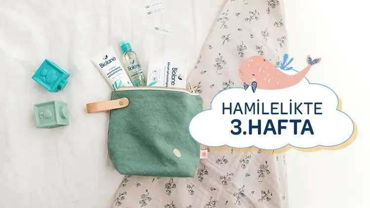 3. Hafta Hamilelik Süreci: Sık Sorulan Sorular ve Önemli Noktalar