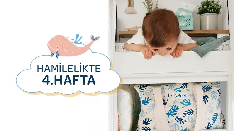 4. Hafta Hamilelik Süreci: Bebeğiniz ve Sizdeki Değişiklikler