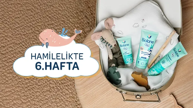 6. Haftada Hamileliğin Getirdiği Değişiklikler: Biolane Rehberi