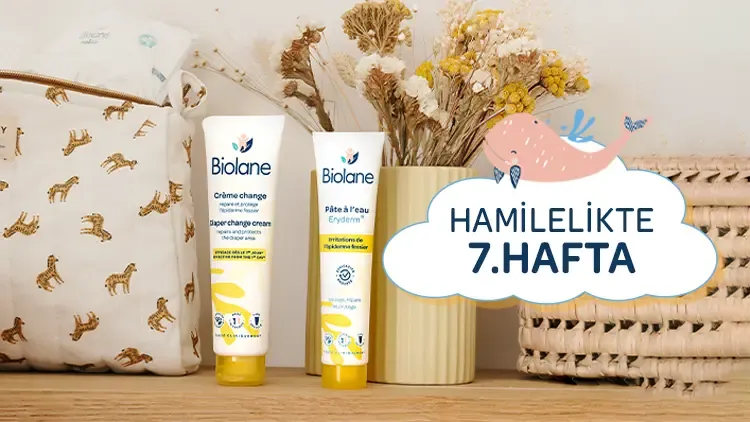 7. Haftada Hamileliğin Getirdiği Değişiklikler: Biolane Rehberi