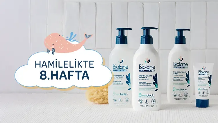 8. Haftada Hamileliğin Getirdiği Değişiklikler: Biolane Rehberi